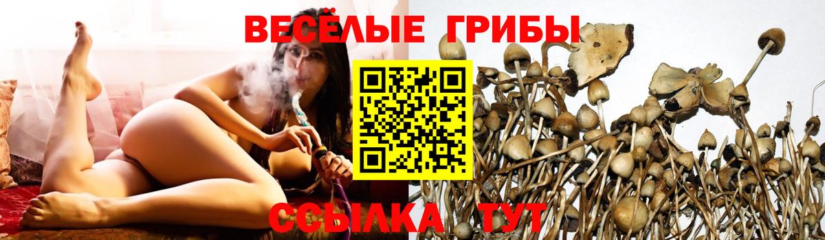 Галлюциногенные грибы Magic Shrooms  Вход с VPN  Благодарный 